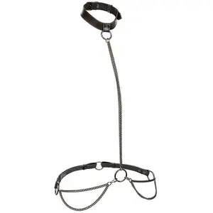 Comparateur de prix : Euphoria Collier Licol et Laisse Grande Taille - CALEXOTICS