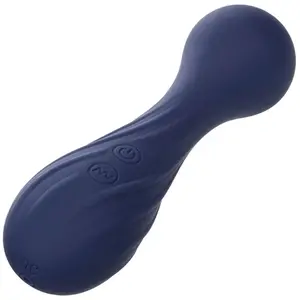 Calexotics Charisma Temptation Masseur 12 Fonctions Violet - Violet pas cher