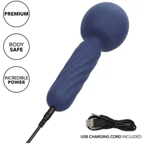 Comparateur de prix : Calexotics Charisma Seduction Masseur 12 Fonctions 17,75 cm X 6,25 cm ...