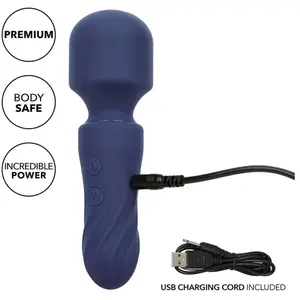 Comparateur de prix : Calexotics - Charisma Charm Masseur 12 Fonctions Violet