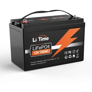 Batterie Lithium LiFePO4 12V 100Ah 100A bms 1280Wh Stockage avec Panne...Vendu parkaufland