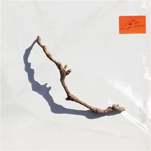 Comparateur de prix : Partisan Records I Inside The Old Year Dying
