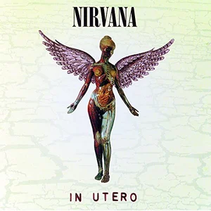 Comparateur de prix : Universal Music Nirvana - In Utero [Vinyl] Italy - Import
