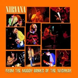 Comparateur de prix : Polydor Nirvana - From The Muddy Banks Of The Wishkah  [VINYL LP]