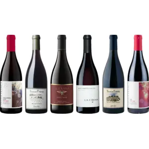 Caisse de dégustation Pinot Noir Premium de l'Oregon 4.5 lVendu par8wines