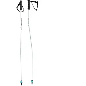 Head Batons De Ski Worldcup Sg Race blanc 115cm pas cher