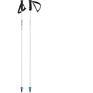 Head Batons De Ski Worldcup Rebels Carbon Race blanc 110cmVendu paramazon