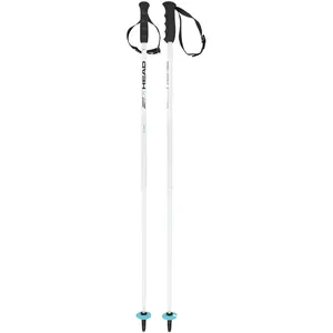 Head - Bâtons de slalom - Worldcup SL Jr  en Aluminium - Taille 95 cm ... pas cher