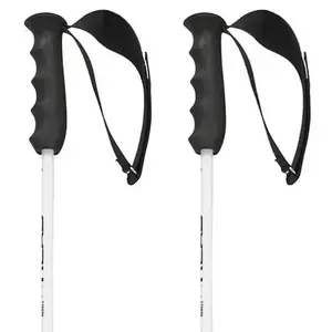 Head Bâtons Worldcup Rebels Carbon pas cher