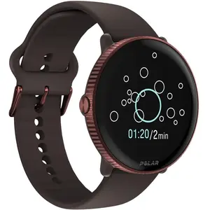 Comparateur de prix : POLAR Polar Ignite 3 montre intelligente coloration Brown Copper 1 pcs