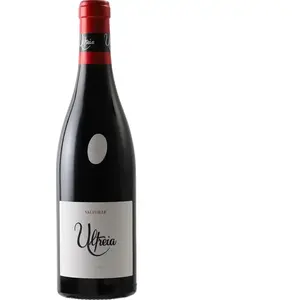 Raul Perez Ultreia Valtuille Mencia 2021 0.75 l