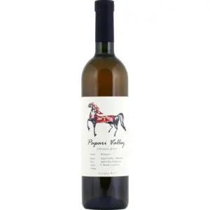Papari Valley 3 Qvevri Terraces Rkatsiteli 2023 0.75 l