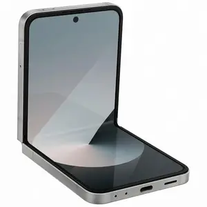 Samsung Galaxy Z Flip6 256 Go - Argent - Débloqué pas cher