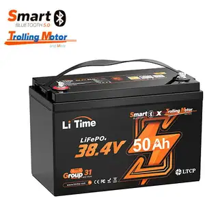36V 50Ah tm LiFePO4 Batterie au lithium Bluetooth à basse température ...