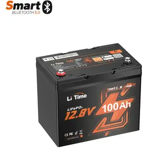 LiTime 12V 100Ah Group 24 Bluetooth LiFePO4 batterie au lithium à cycl...Vendu parkaufland
