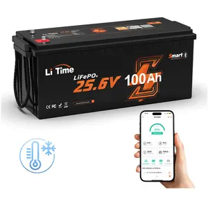LiTime Batterie Lithium LiFePO4 Bluetooth 24V100Ah Protection à basse Tempéra... pas cher
