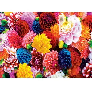 Master Pieces Puzzle 550 pièces : Brilliance - Belles Fleurs
