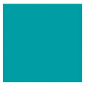 Smart vynil 33 x 91cm permanent Cricut Bleu canard pas cher