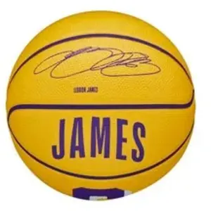 Comparateur de prix : Wilson Mini Ballon Nba Lebron James jaune T3
