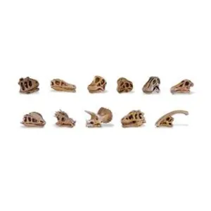 Safari jeu de rôles Crânes de dinosaures Toob junior brun 11 pièces