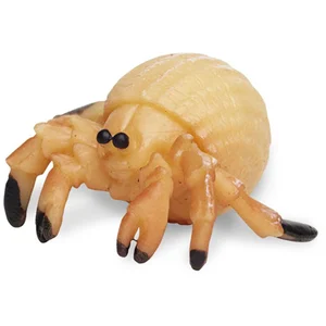 Safari Ltd Figure Hermit Crabs Good Luck MinisVendu pardiveinn