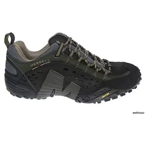 Merrell Chaussures De Marche Merrell  Intercept J73703 - Noir - 46 pas cher