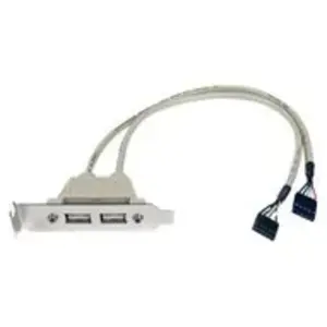 StarTech.com Startech Adaptateur USB 2.0 IDC vers plaque à 2 ports USB A - Câble US... pas cher