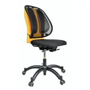 Comparateur de prix : Support dorsal Fellowes en maille Office Suites Noir