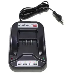 Briggs&Stratton Chargeur de batterie pas cher