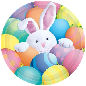 Comparateur de prix : RueDeLaFete Assiettes Pâque - 1er Age x8