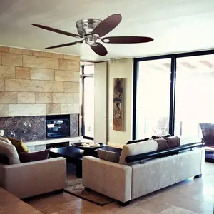Comparateur de prix : Ventilateur de plafond Low Profile 2 coloris - HUNTER