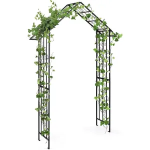 Arche de Jardin en Métal - RELAX4LIFE - Tube en Fer Galvanisé - Treill... pas cher