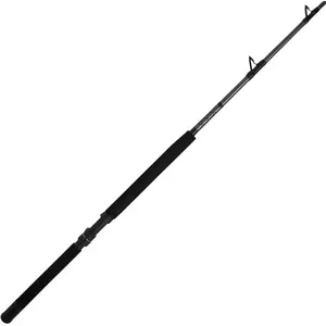 Penn Canne Jigging Ally  Ii Boat Conventional