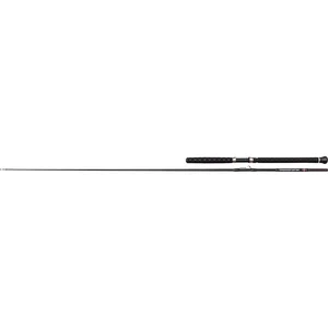 Penn Canne Baitcasting Prevail Iii Le Inline pas cher