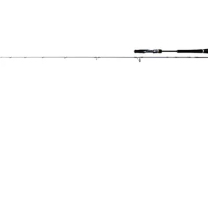 Penn Canne à Jigging Légère Battalion Solid