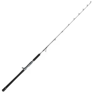 Comparateur de prix : Penn Canne Baitcasting Battalion Solid Boat Spiral Jig