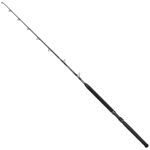 Penn Canne Baitcasting Marine Brigade Trolling pas cher
