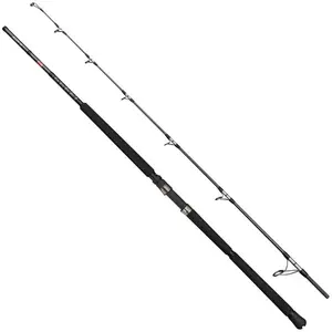 Penn Canne Jigging Ally Ii Offshore