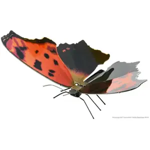 Fascinations Metal Earth Papillon - Eastern Comma Butterfly Modèle 3D en métal