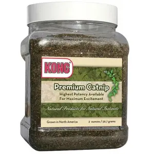 Herbe À Chats Kong® "Premium Catnip" 56.7 G pas cher
