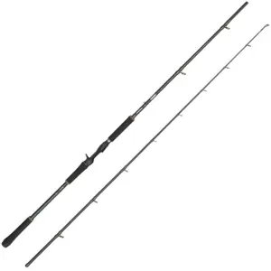 Abu Garcia Canne Baitcasting Beast X2