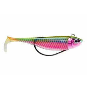 Comparateur de prix : Leurre Storm 360° gt coastal biscay deep shad - multicolore - 19 cm
