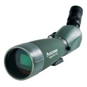 Celestron Regal M2 - Portée du repérage 20-60 x 80 - Etanche - vert pas cher