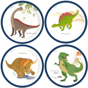 RueDeLaFete Assiettes Happy Dinosaure x8 pas cher