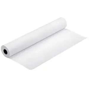 Comparateur de prix : Epson Premium Luster Photo Paper (260) - Papier photo lustré - 1 rouleau(x)