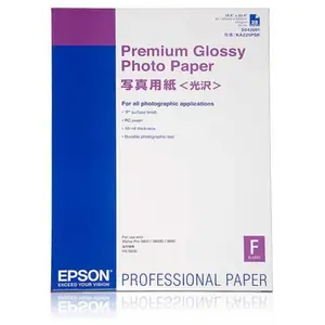 Epson C13S042091 Papier photo glacé haut de gamme 255g / m2 A2 25 Pack