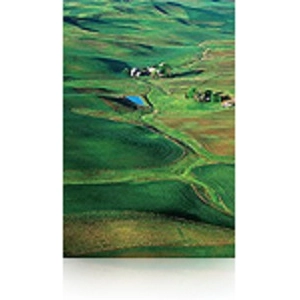 Epson Papier / Premium / SG / 260 / 152,40cm (60")x30.5m (C13S042133) pas cher