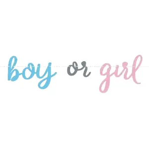 Partydéco Guirlande en papier "Boy or Girl ?" - 213cm pas cher