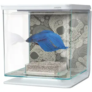 marina kit aquarium équipé tete de mort pour betta - 2 l pas cher
