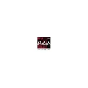 D'Addario And Co Jeu Prelude Manche 1/2 Medium Cordes contrebasse